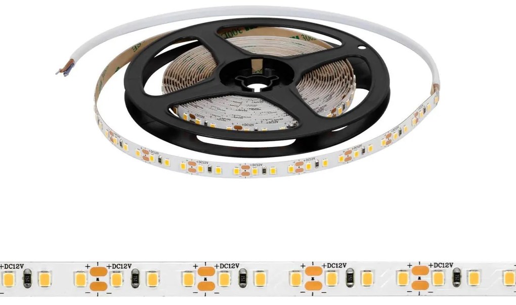 Striscia LED 2835/120 12V 12W/m IP20 5m Colore Bianco Freddo 6.000K