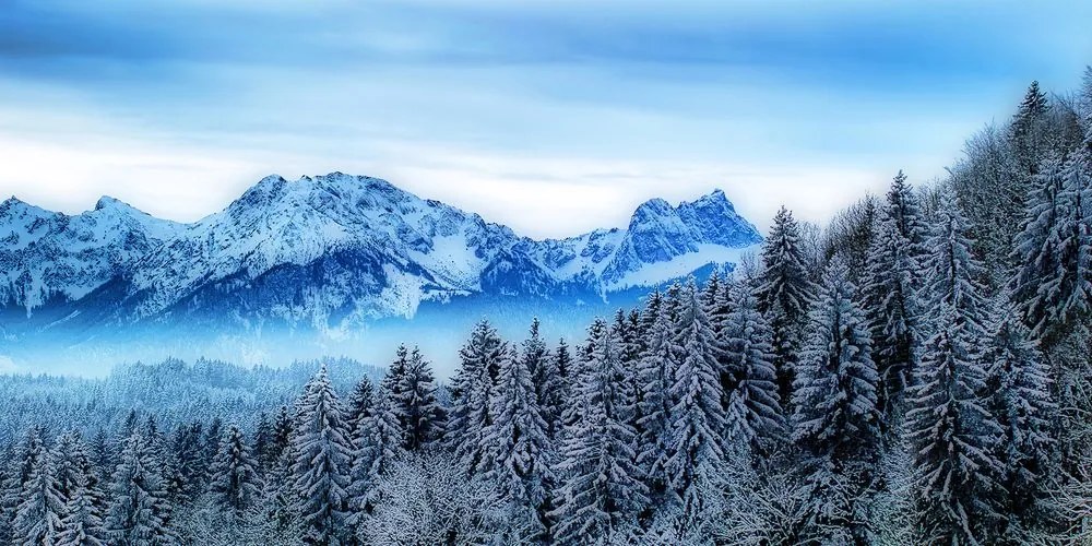 Quadro su tela – Montagne congelate