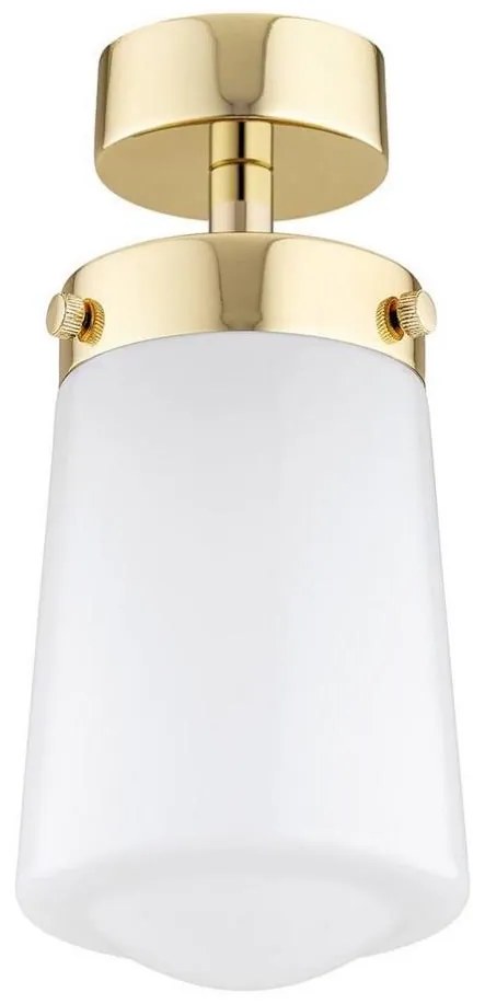 Argon 8005 - Surface-mounted lampadario PASADENA 1xE27/15W/230V oro/bianco