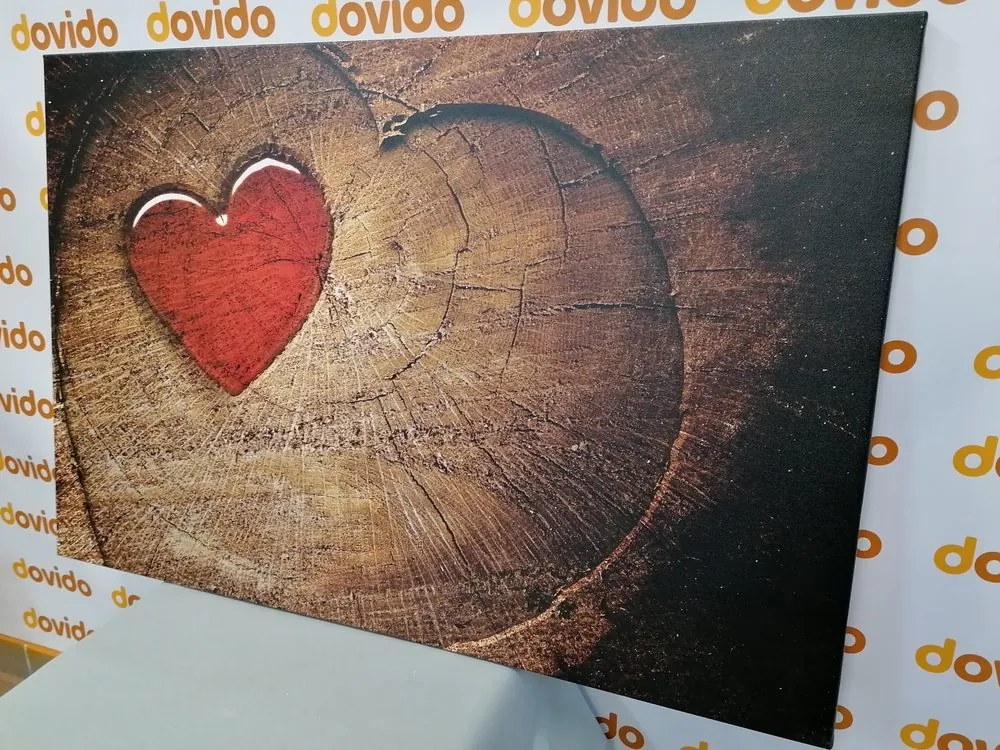 Quadro su tela – Cuore su tronco