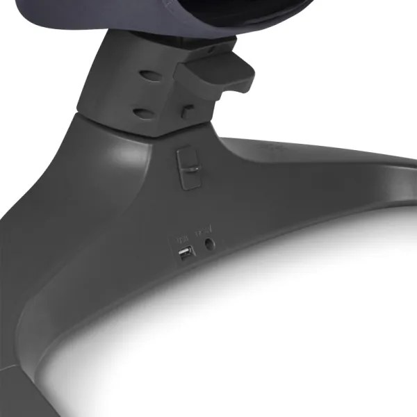 Lionelo - Altalena per bambini RALF con melodia, 4xAA, Grigio/Bianco + telecomando