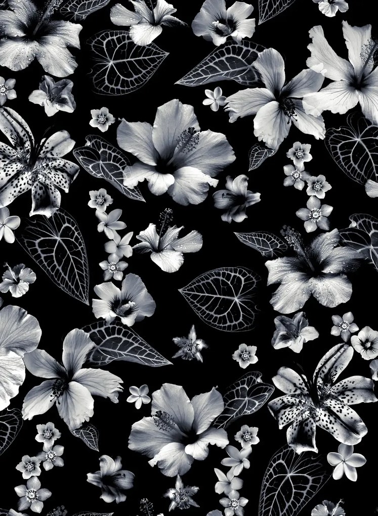 Jean Paul Gaultier Carta da parati Cariacou - Noir