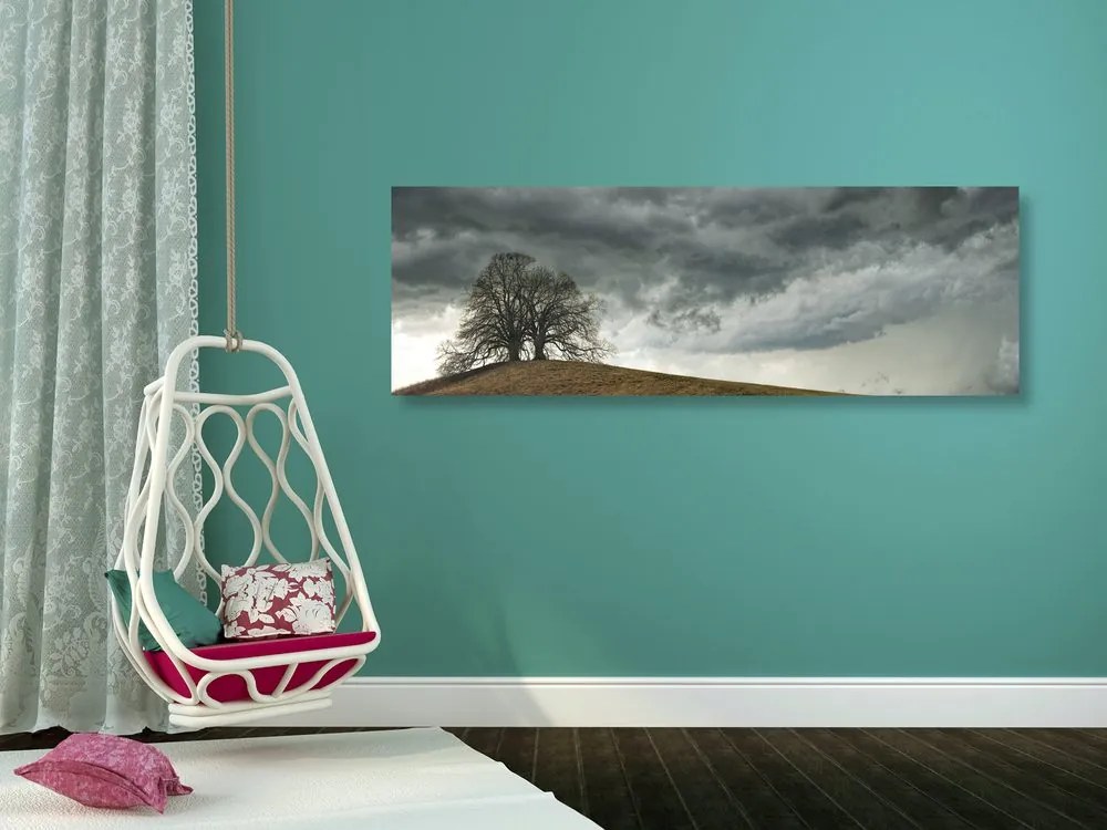 Quadro su tela – Alberi solitari