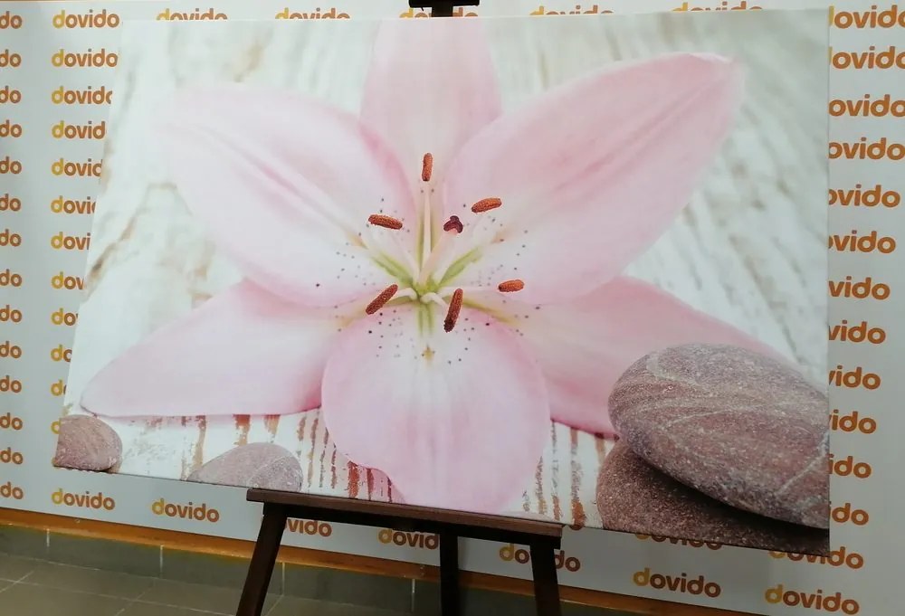 Stampa su tela – Giglio rosa e pietre zen