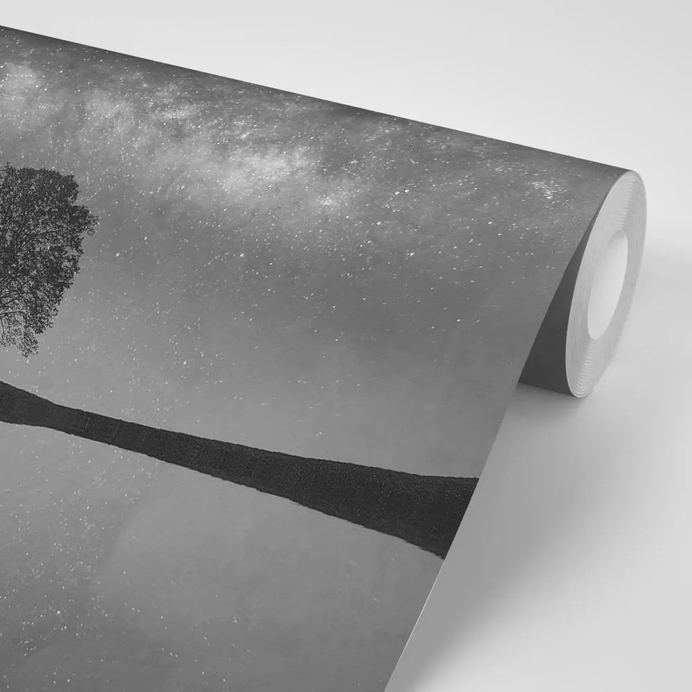 Fotomurale – Cielo stellato in bianco e nero sopra l'albero solitario