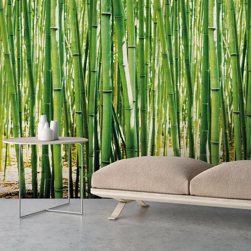 Fotomurale Bosco bamboo, verde 159 x 280 cm