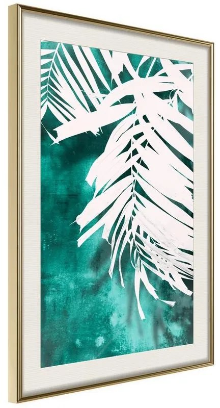 Poster White Palm on Teal Background