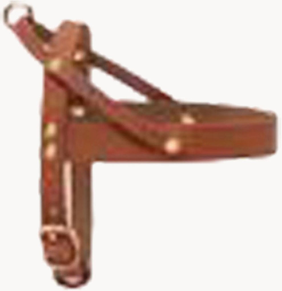 Imbracatura per cani in pelle Classic, varie misure