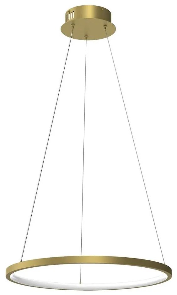 Lampadario LED a sospensione con filo HOOP LED/27W/230V diametro 50 cm 4000K oro