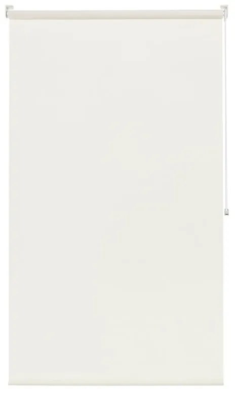 Tenda a rullo screen INSPIRE Screen bianco 90x190 cm