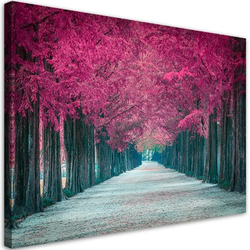 Quadro su tela, Avenue of Pink Trees  Dimensioni 60x40