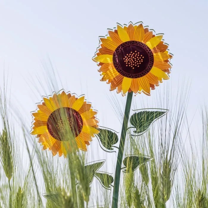 VESTA FUNNY FLOWERS - Girasole Grande