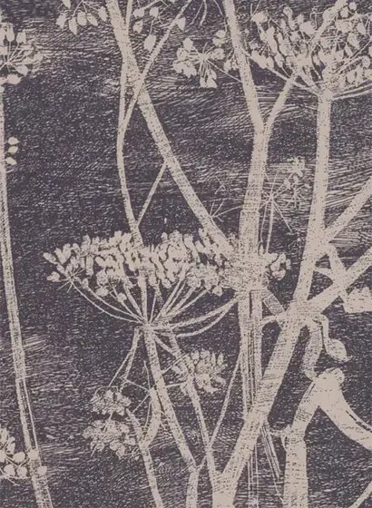 Cole & Son Carta da parati Cow Parsley - Schwarz/ Hellbraun