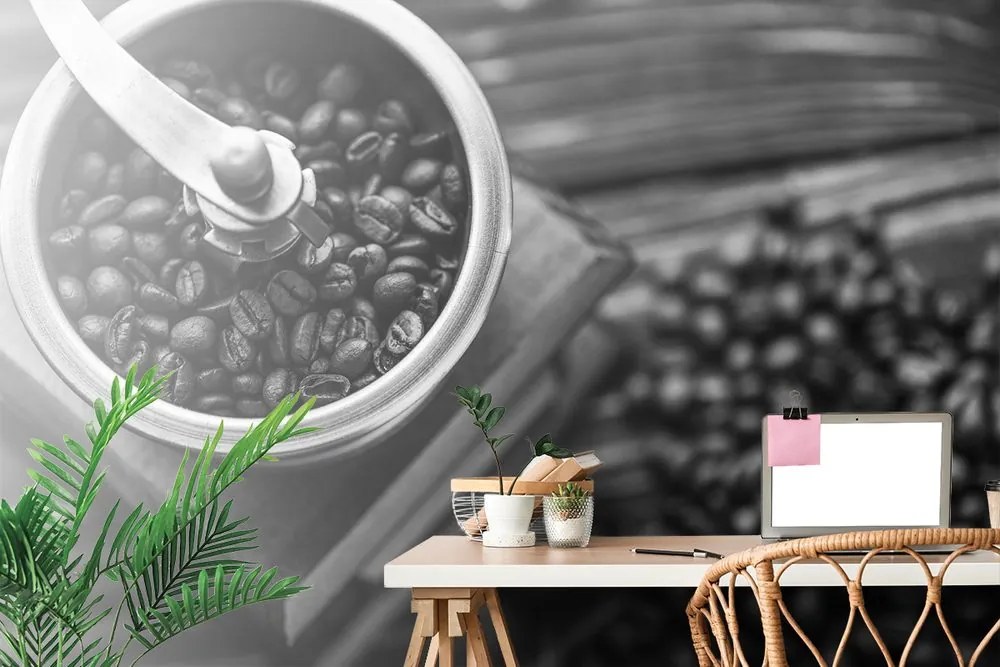 Carta da parati – Macinino da caffè vintage in bianco e nero
