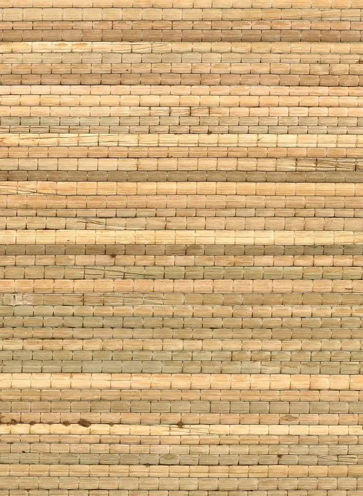 CMO Paris Carta da parati Papyrus - Naturel