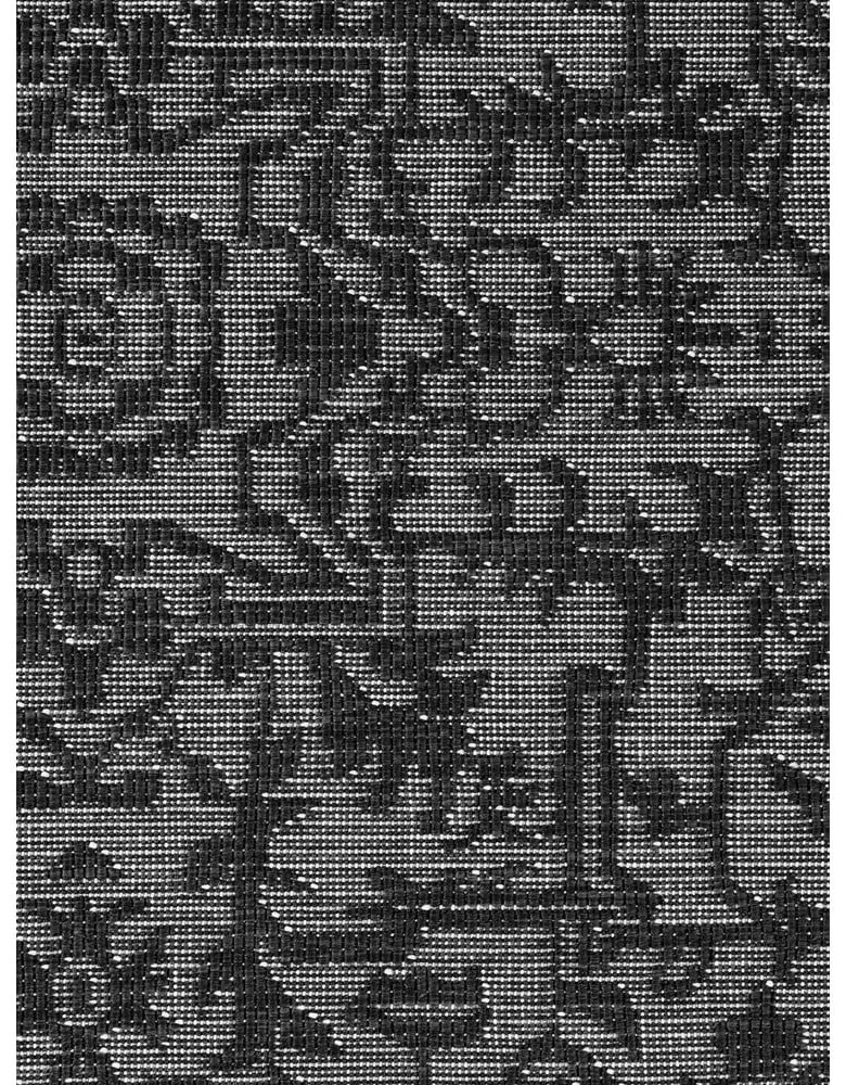 Tappeto da interno/esterno bianco e nero 200x290 cm Duet Kona – NORTHRUGS