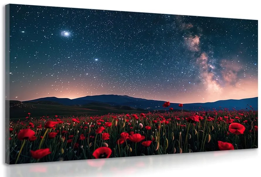 Quadro su tela – Prato di papaveri selvatici sotto le stelle