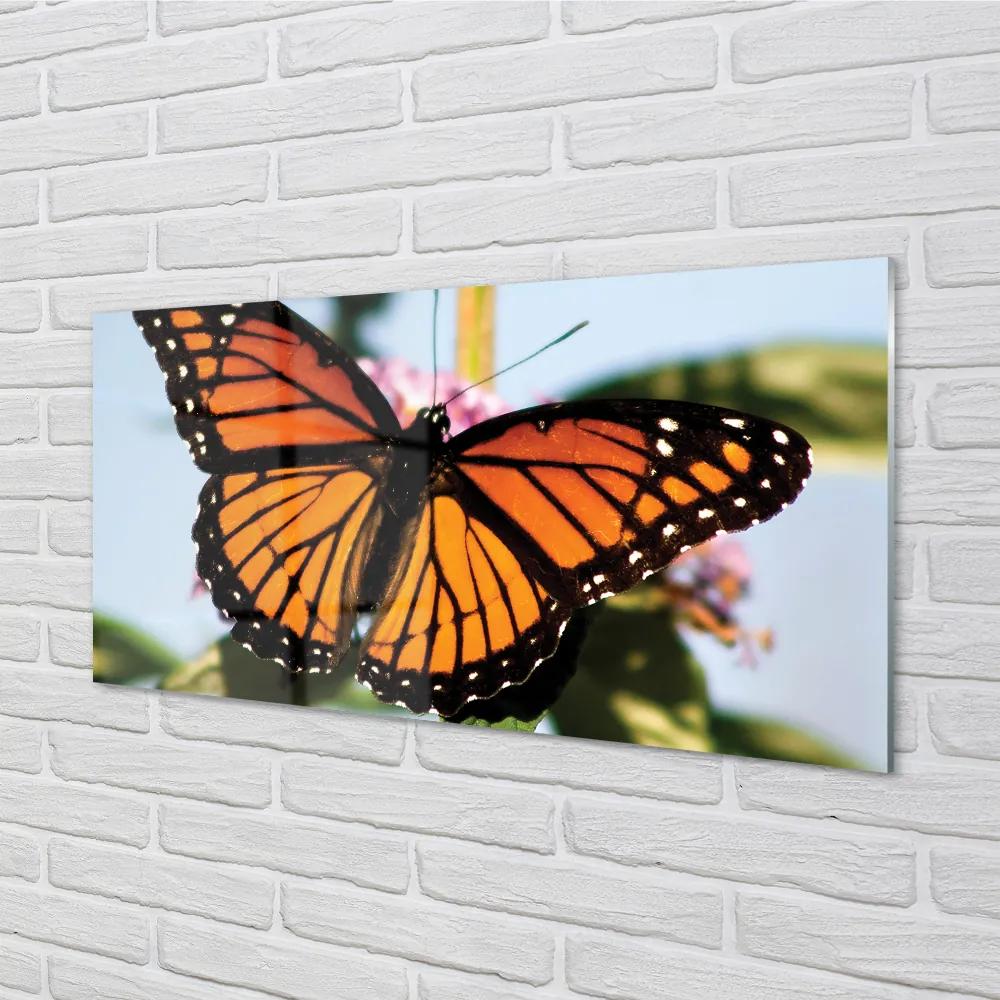 Quadro acrilico Farfalla colorata 100x50 cm