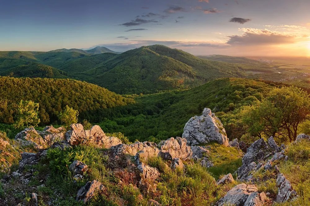 Carta da parati autoadesiva – Natura baciata dal sole