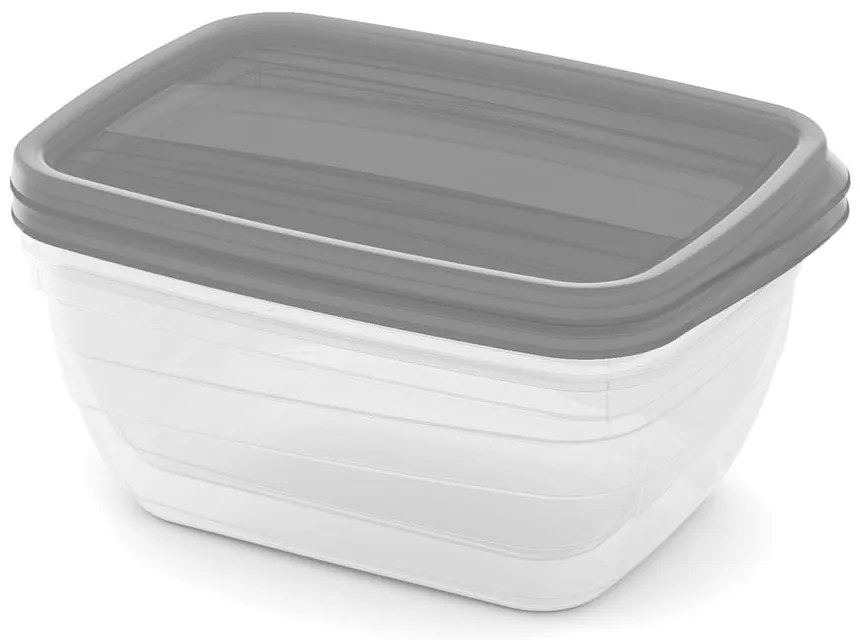 Scatole per alimenti 2 pz. Vedo - Curver