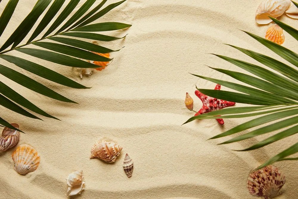 Carta da parati – Conchiglie sotto foglie di palma