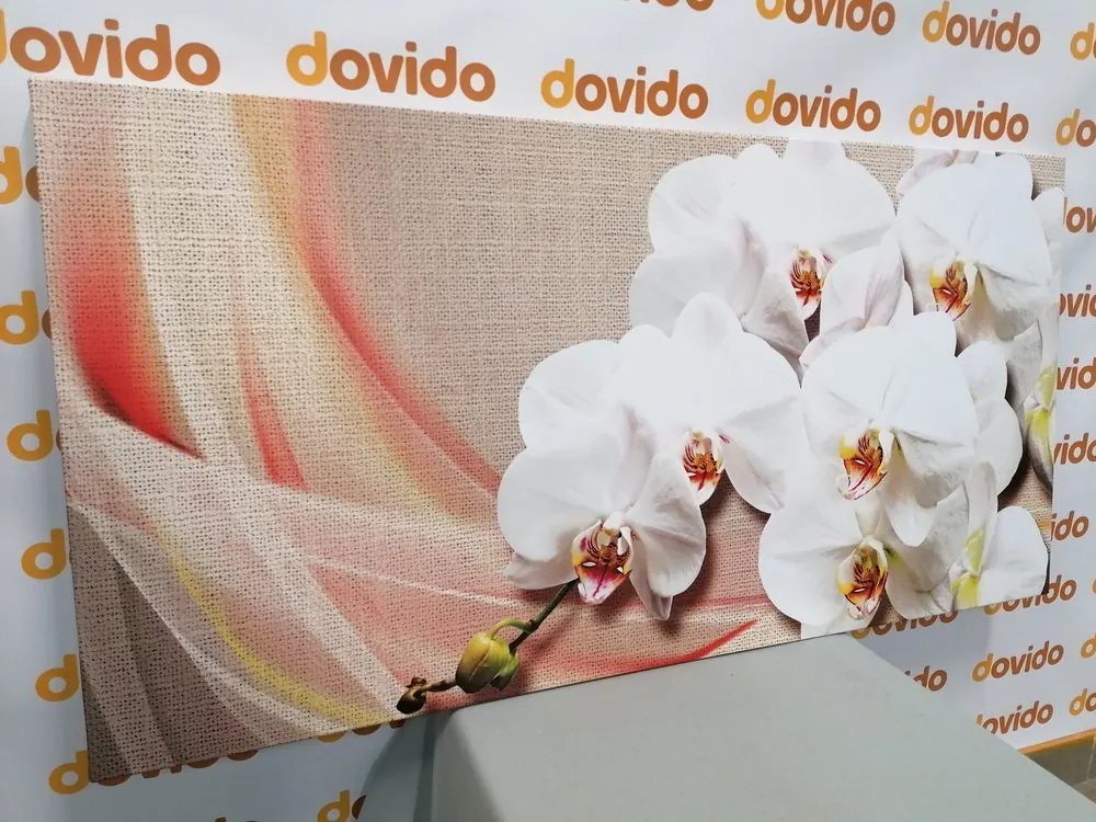 Quadro su tela – Orchidea bianca su tela