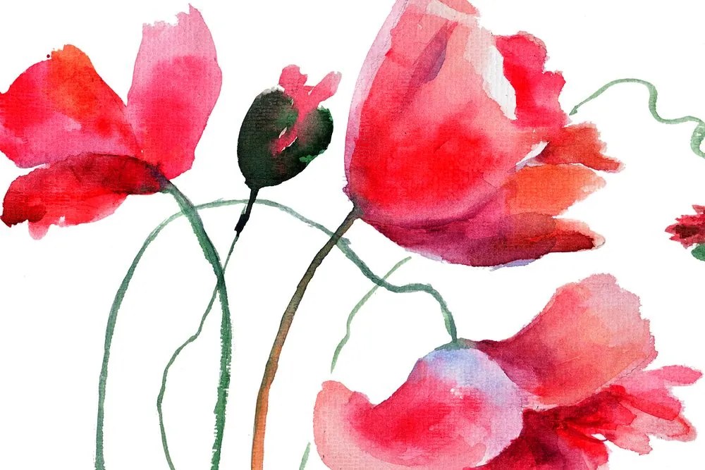 Stampa su tela – Fiori di papavero unici