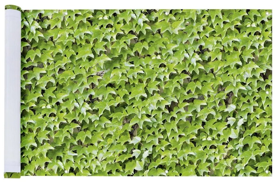 Parasole verde in plastica 500x85 cm Wilder Wein – Maximex