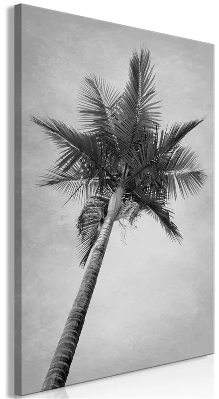 Quadro High Palm Tree (1 Part) Vertical  Colore bianco e nero, Dimensioni e Misure 40x60