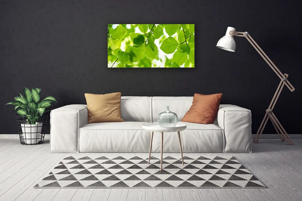 Quadro su tela Foglie di piante naturali 100x50 cm