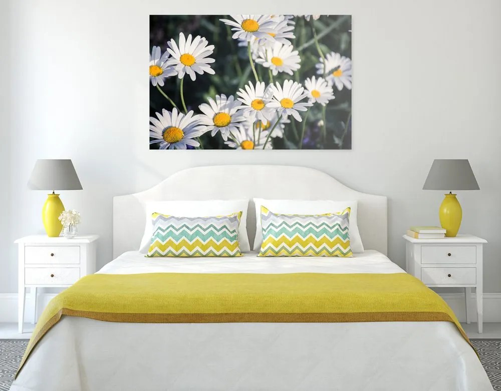 Quadro su tela – Margherite in giardino