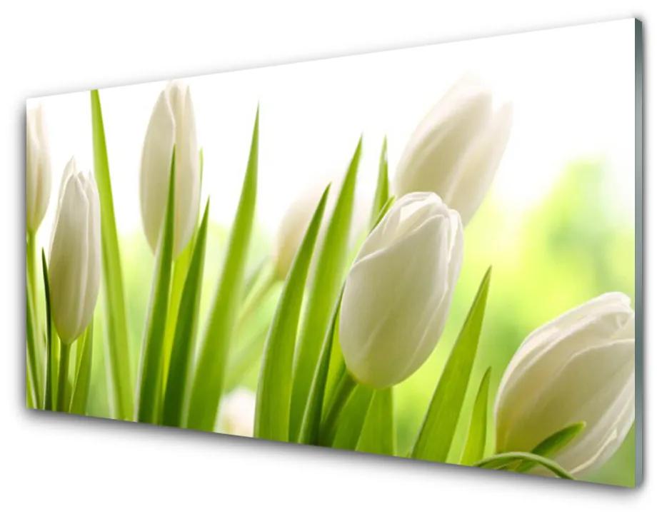 Quadro in vetro acrilico Fiori di tulipani 100x50 cm