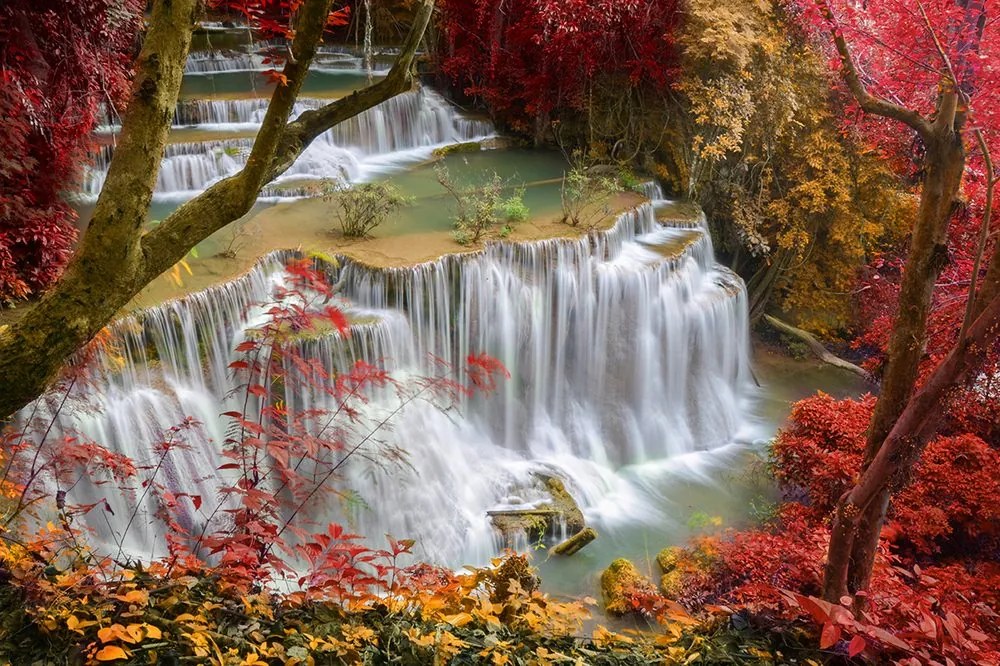 Fotomurale – Cascata nella foresta