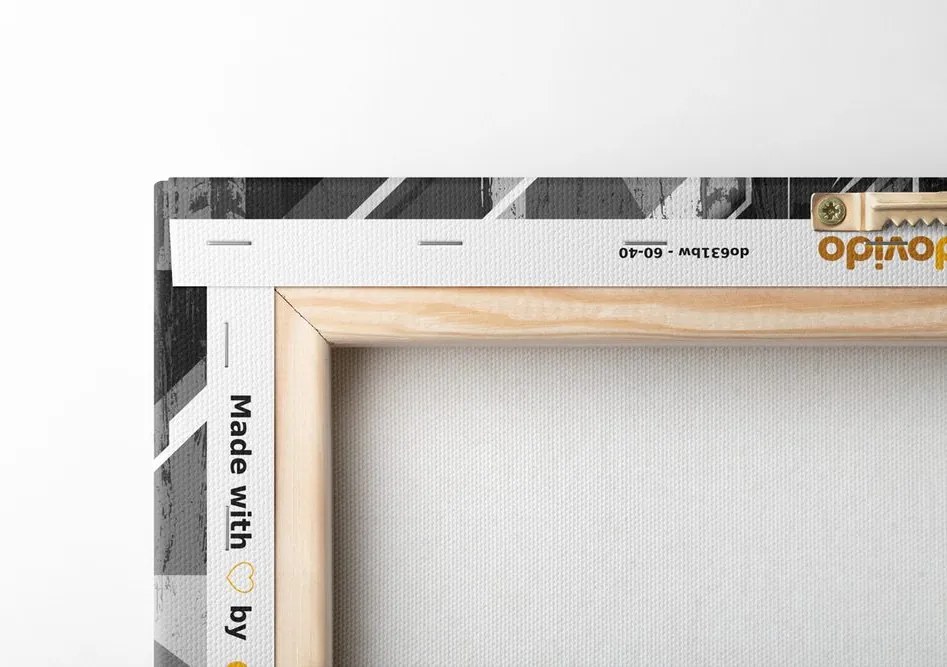 Quadro su tela – Ritratto di donna in bianco e nero