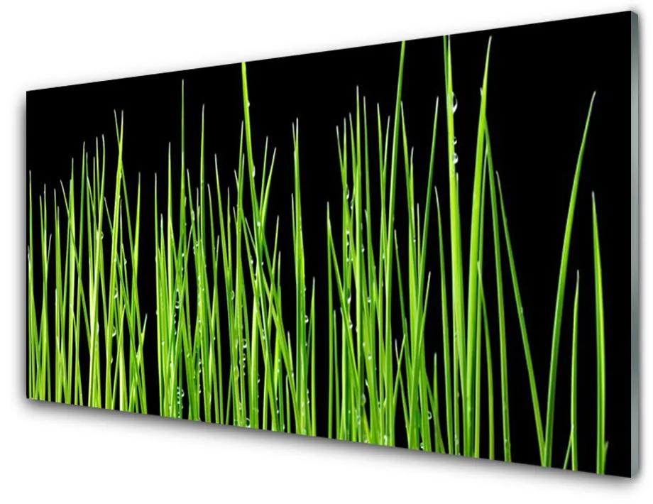 Rivestimento parete cucina L'erba La pianta 100x50 cm