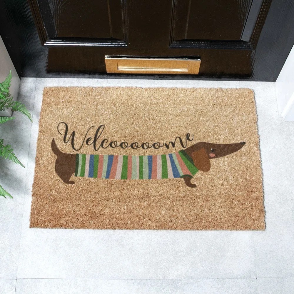Zerbino in fibre di cocco 40x60 cm Welcome Sausage Dog – Artsy Doormats