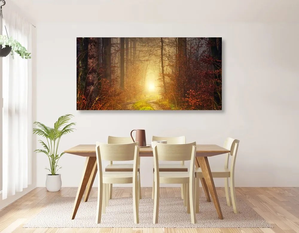 Stampa su tela – Luce nella foresta