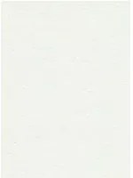 Zoffany Carta da parati Ormonde - Snow