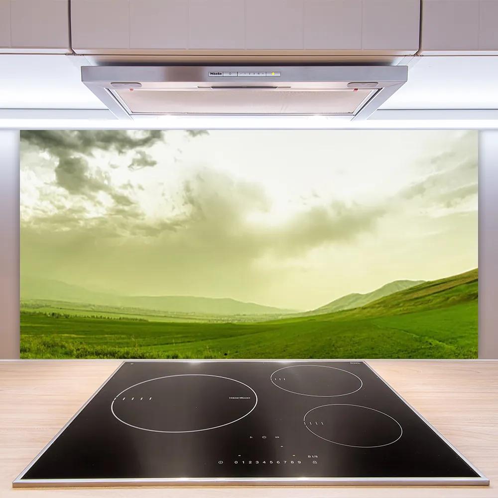 Pannello cucina paraschizzi Vista della natura del prato verde 100x50 cm