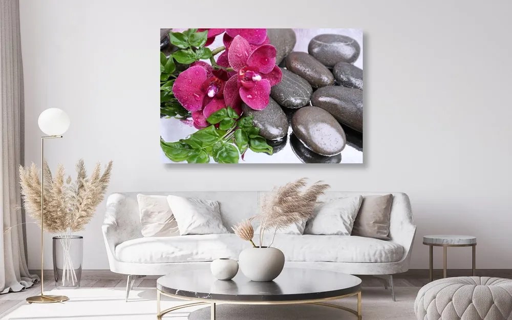 Quadro su tela – Orchidea fiorita e pietre per il benessere