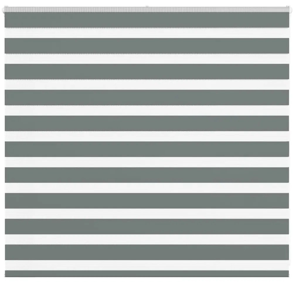 Tenda A Rullo Zebra Larghezza Tessuto 155,9 Cm Poliestere /