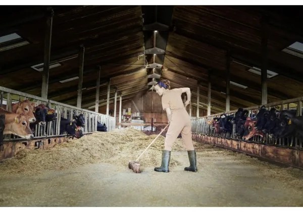 Osram - Apparecchio industriale da soffitto HIGHBAY LED/80W/230V 6500K 23x23 cm IP65