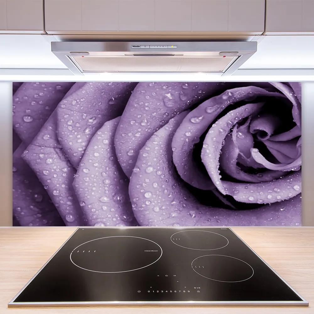 Rivestimento parete cucina Pianta di fiori di rosa 100x50 cm