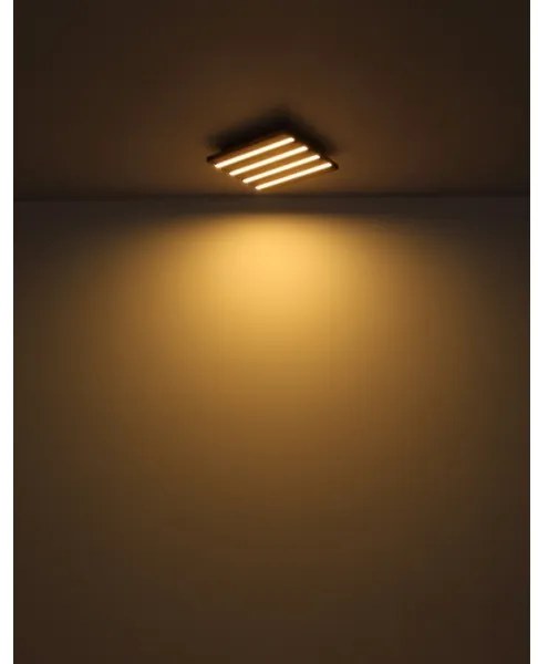 Globo 67347D1 - Plafoniera LED HAYDEN LED/15W/230V 3000K 30x30 cm