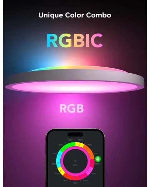 Govee - LED RGBICWW dimmerabile plafoniera LED/29W/230V Ø 30cm finitura opaca Wi-Fi