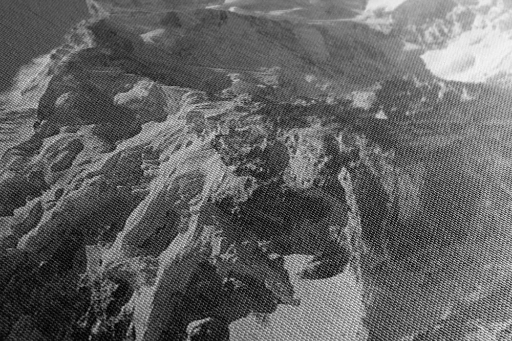 Quadro su tela – Magnifica cima di montagna in bianco e nero