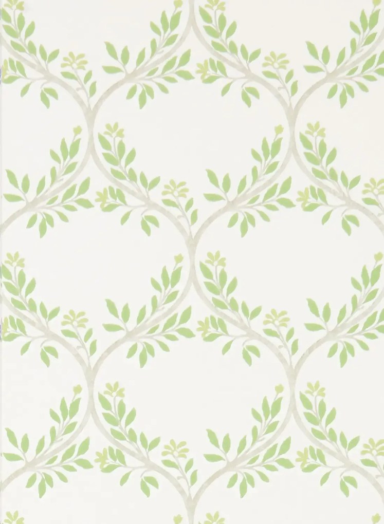 Nina Campbell Tapete Arber - Green