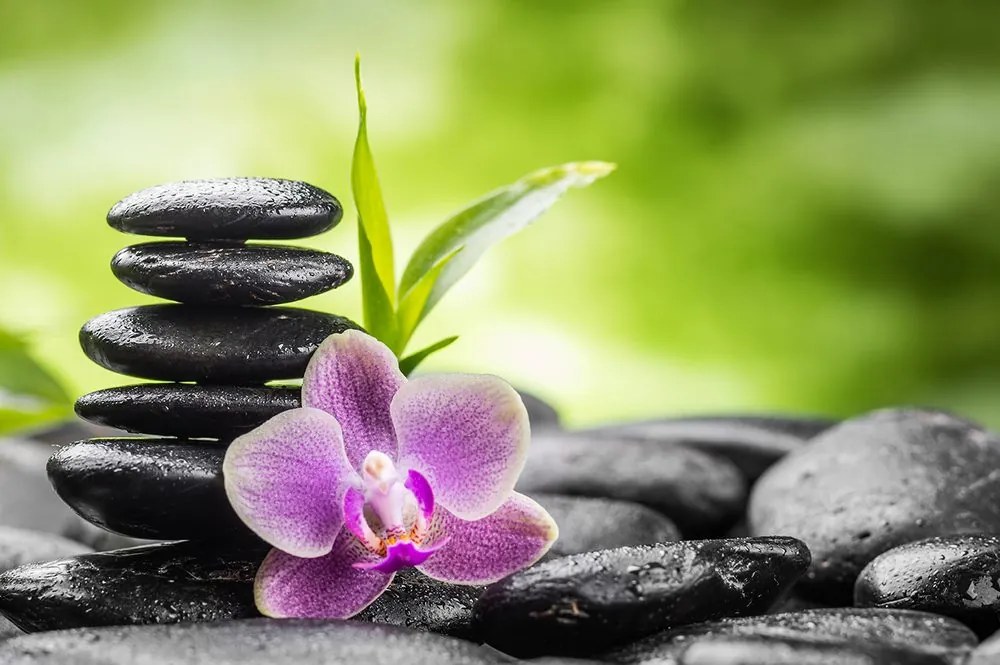 Carta da parati – Composizione zen meditativa