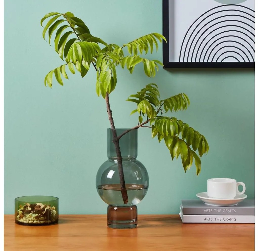 Eglo 421231 - Vaso in vetro AMPITABE 28x15,5 cm nero