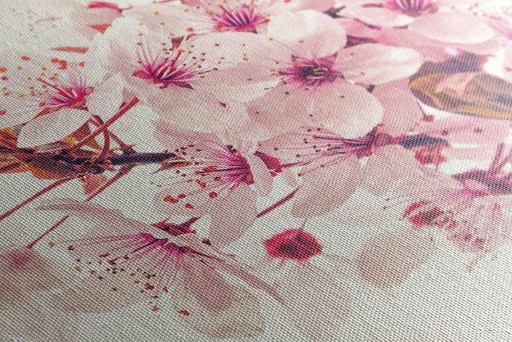 Quadro su tela – Fiori rosa di ciliegio